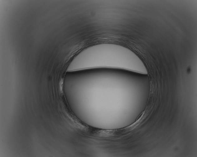 X0000091710094200708241006