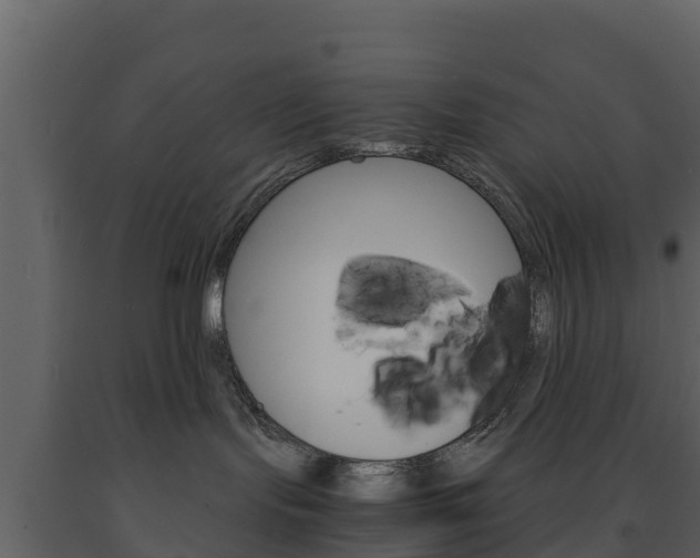 X0000091710095200708241006