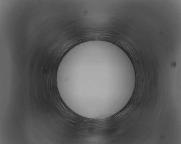 X0000091710096200708241006