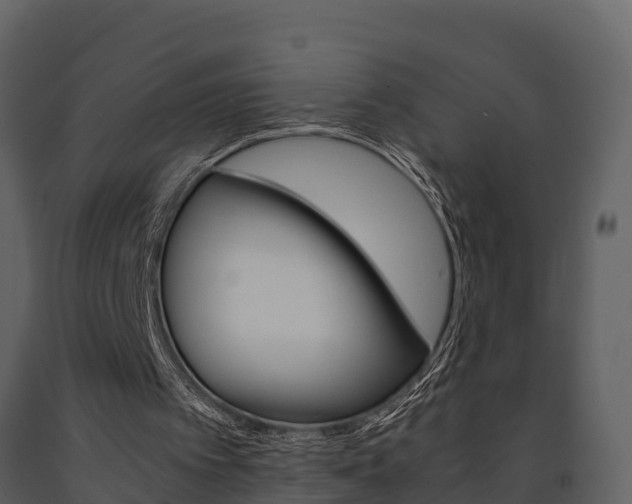 X0000091710097200708241005