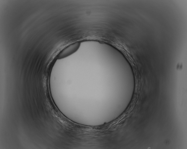 X0000091710098200708241005