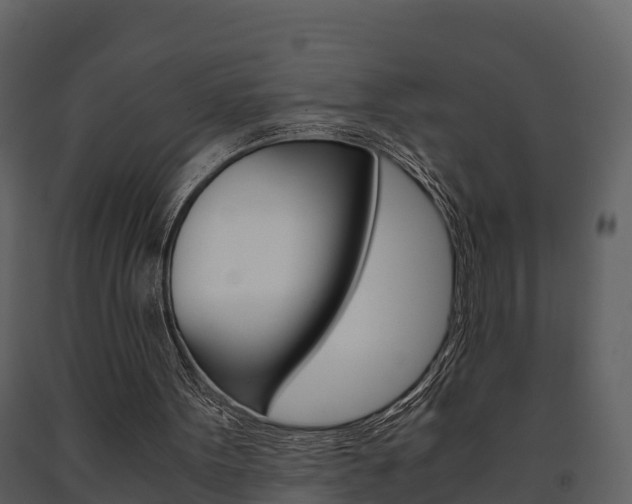 X0000091710099200708241005