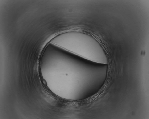 X0000091710100200708241005