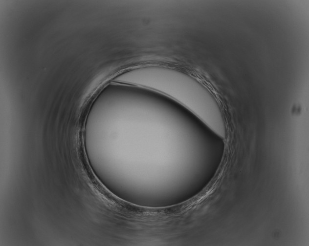 X0000091710101200708241005