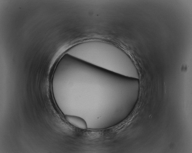 X0000091710102200708241005
