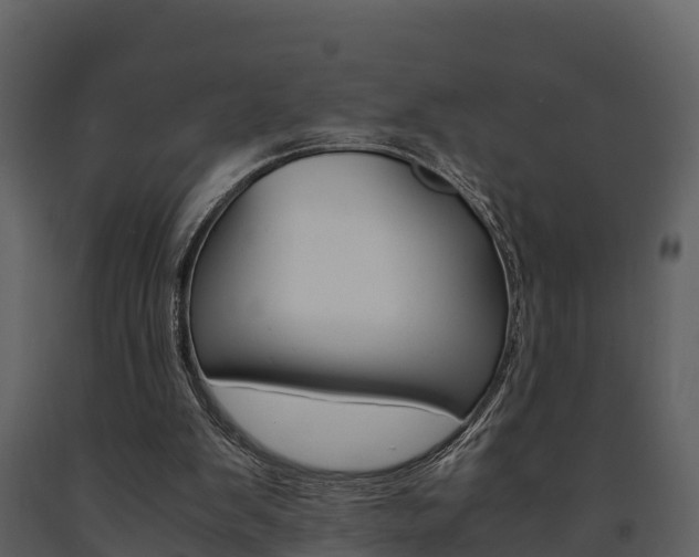 X0000091710103200708241005