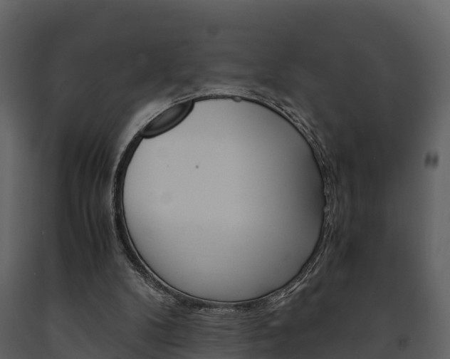 X0000091710104200708241005