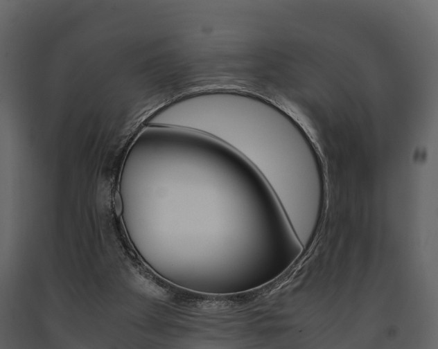 X0000091710105200708241005