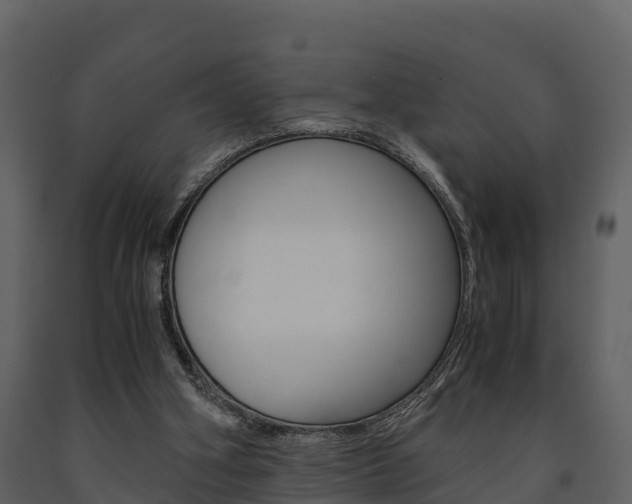 X0000091710106200708241005