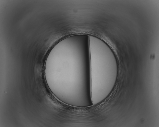 X0000091710107200708241005
