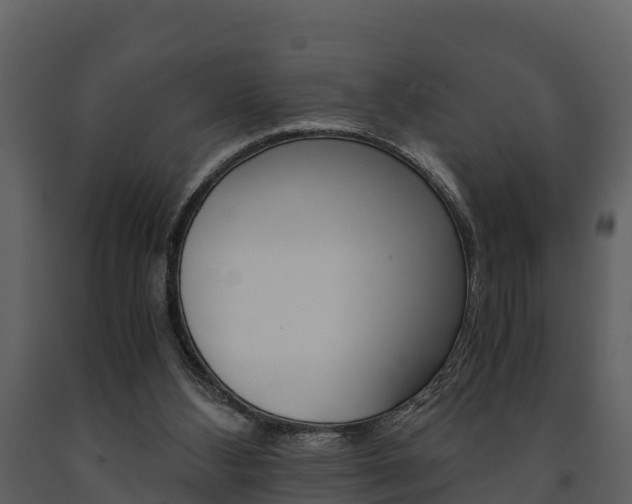 X0000091710108200708241005