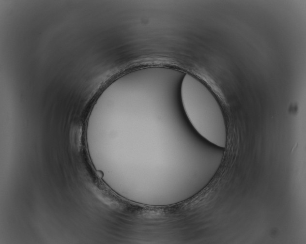X0000091710110200708241005
