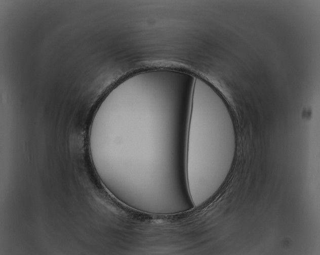 X0000091710111200708241005