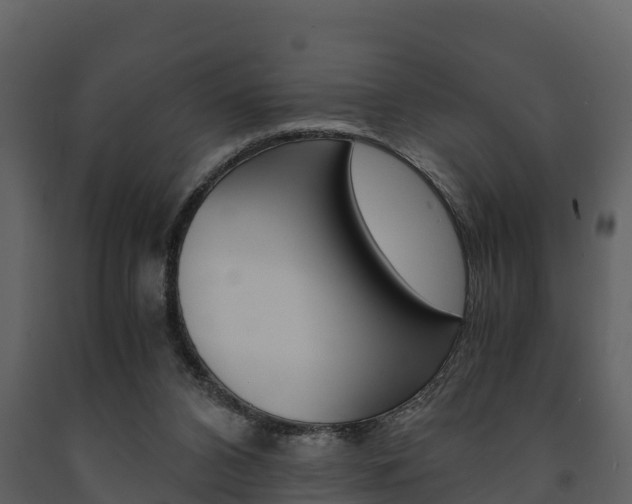 X0000091710112200708241005