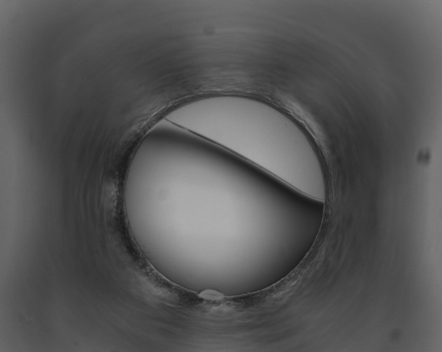 X0000091710113200708241005