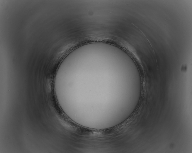 X0000091710114200708241005