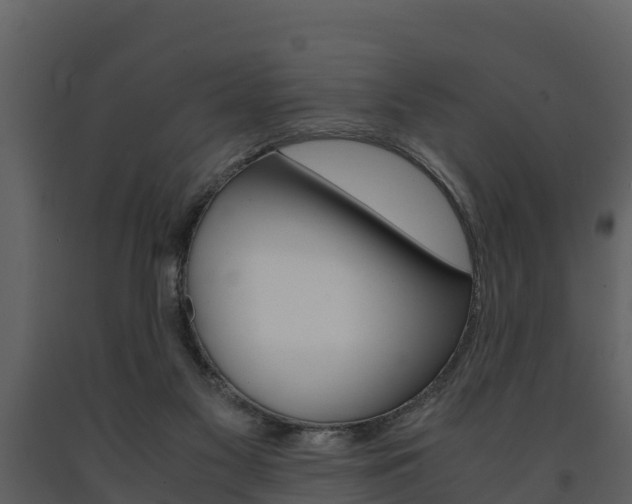X0000091710117200708241005