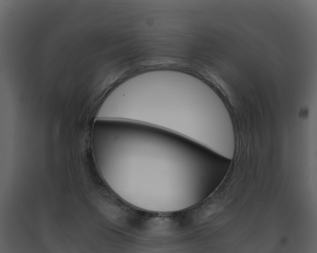 X0000091710119200708241005