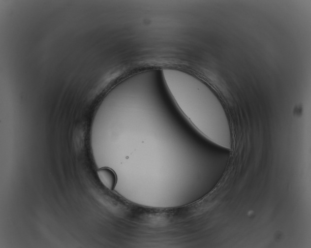 X0000091710120200708241005