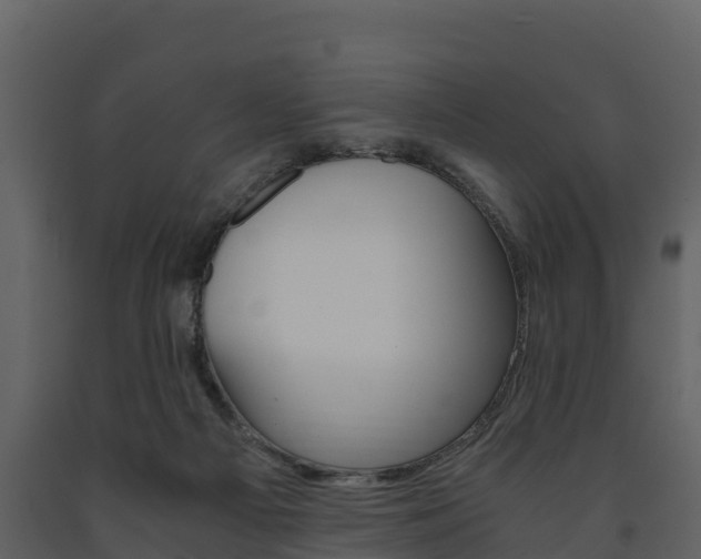 X0000091710121200708241005