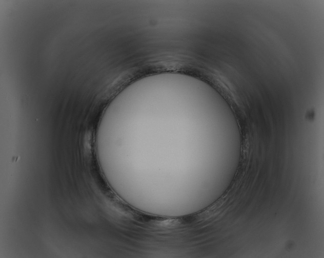 X0000091710122200708241005