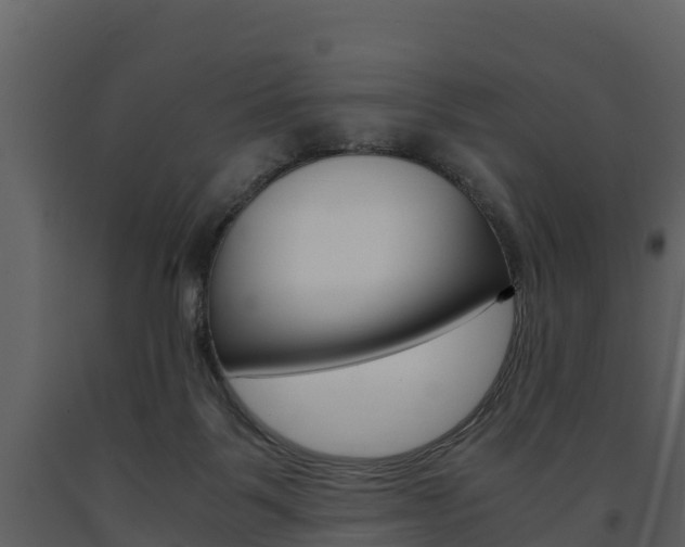 X0000091710123200708241005