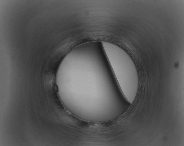 X0000091710125200708241005