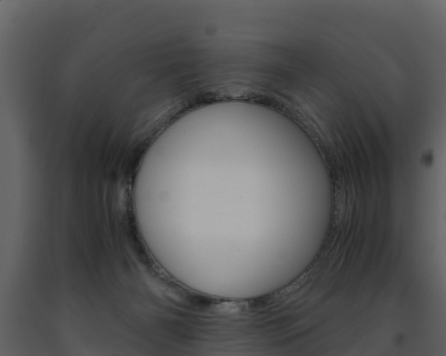 X0000091710126200708241005
