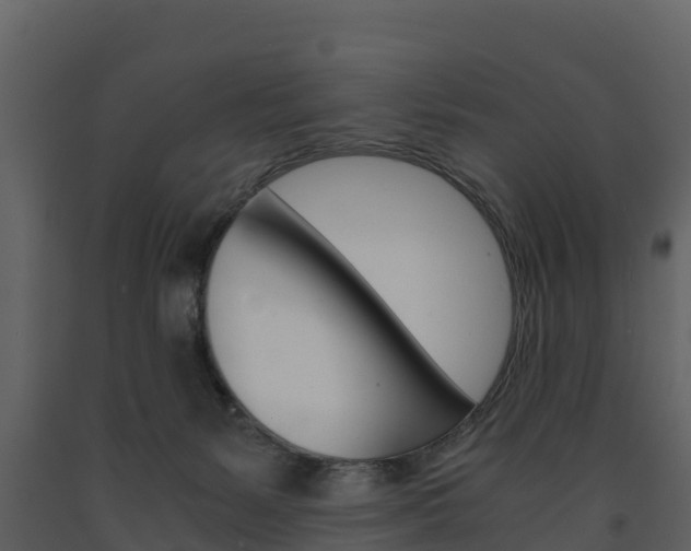 X0000091710127200708241005