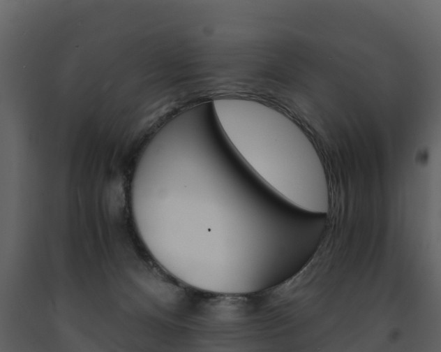 X0000091710128200708241005