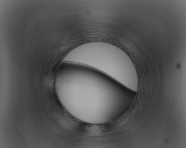 X0000091710129200708241005