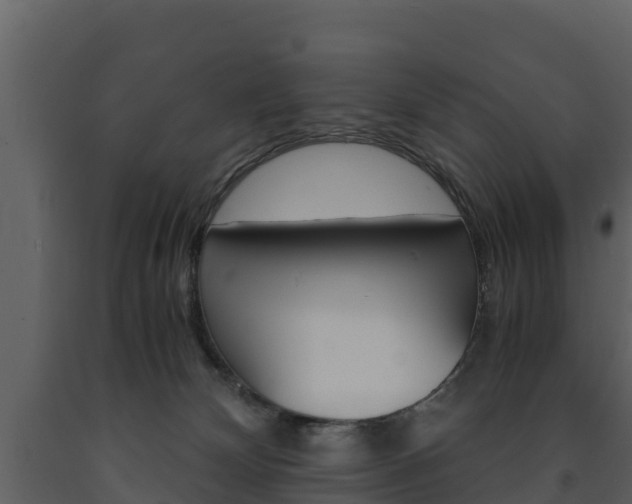 X0000091710132200708241005