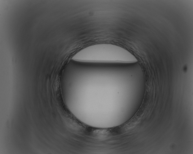 X0000091710133200708241005