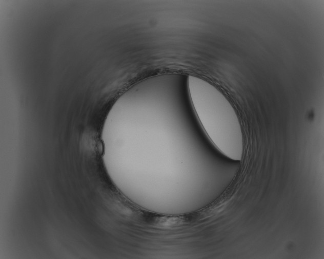 X0000091710135200708241005