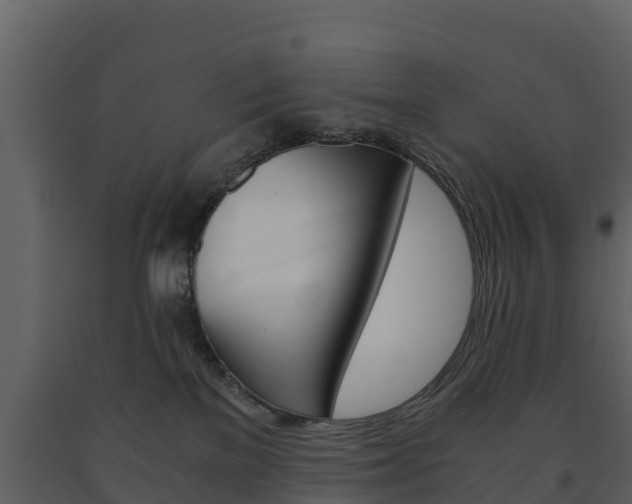 X0000091710137200708241005