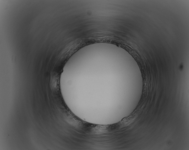 X0000091710138200708241005