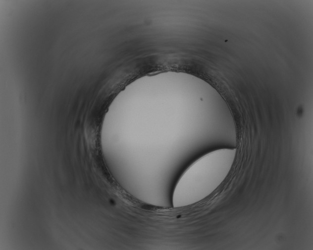 X0000091710139200708241005
