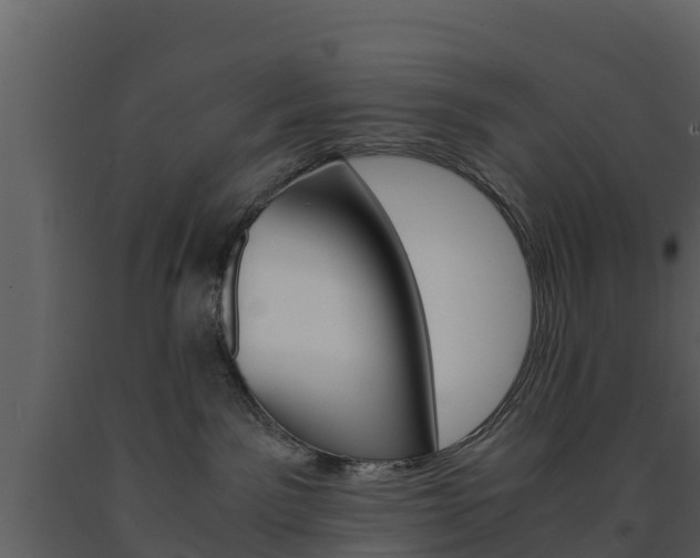 X0000091710141200708241005