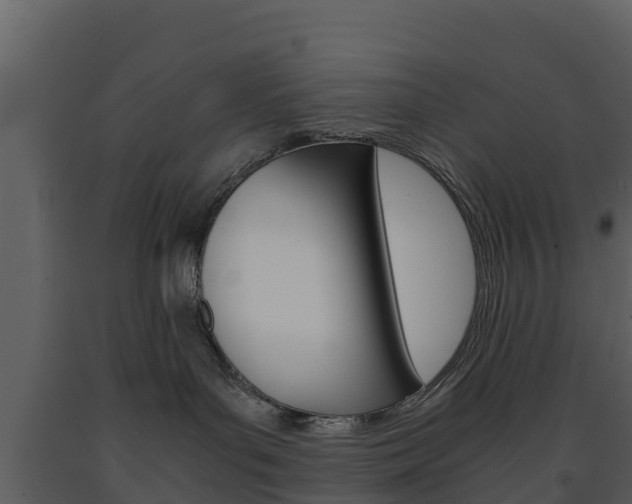 X0000091710143200708241005