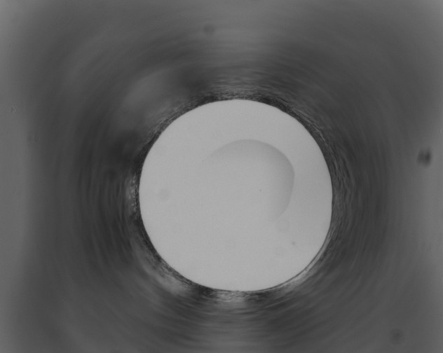X0000091710144200708241005