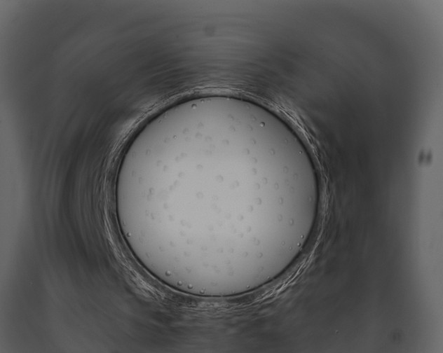 X0000091710145200708241004