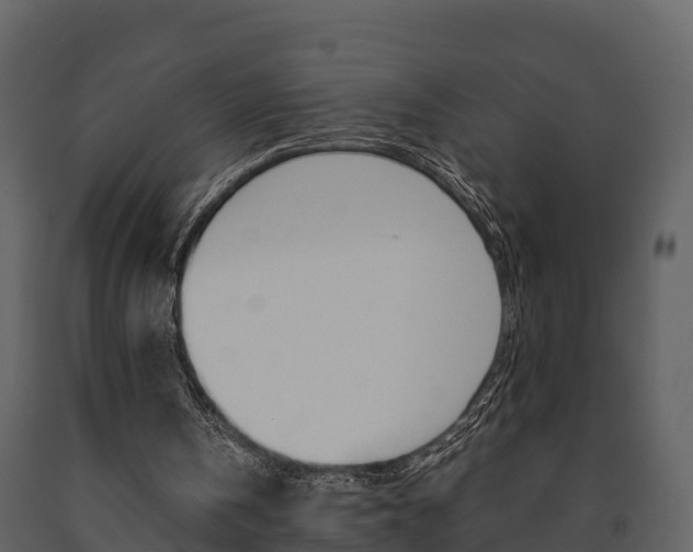 X0000091710146200708241004