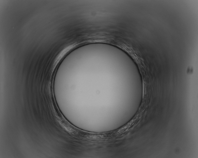 X0000091710147200708241004