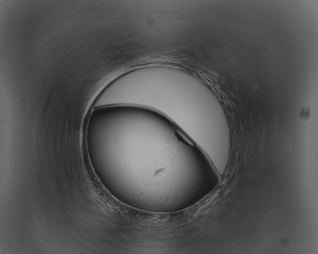 X0000091710148200708241004