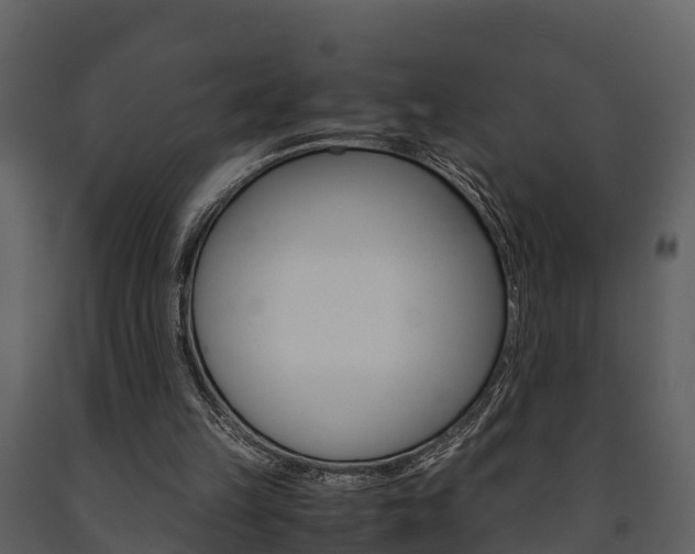X0000091710149200708241004