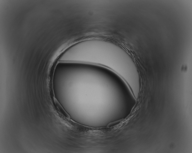 X0000091710150200708241004