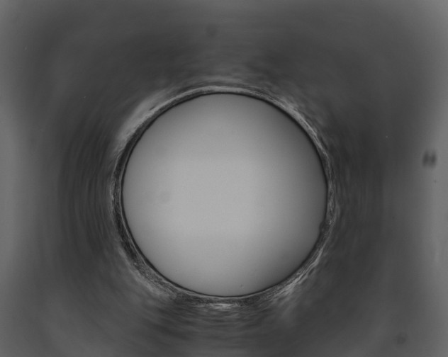 X0000091710151200708241004