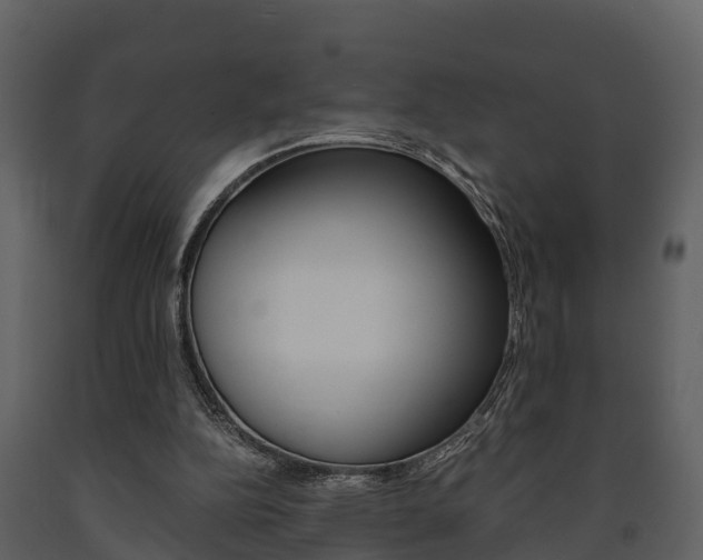 X0000091710152200708241004