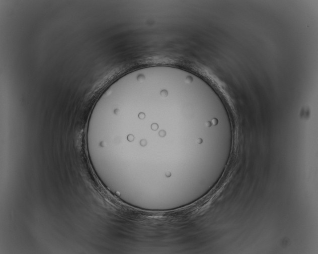 X0000091710153200708241004