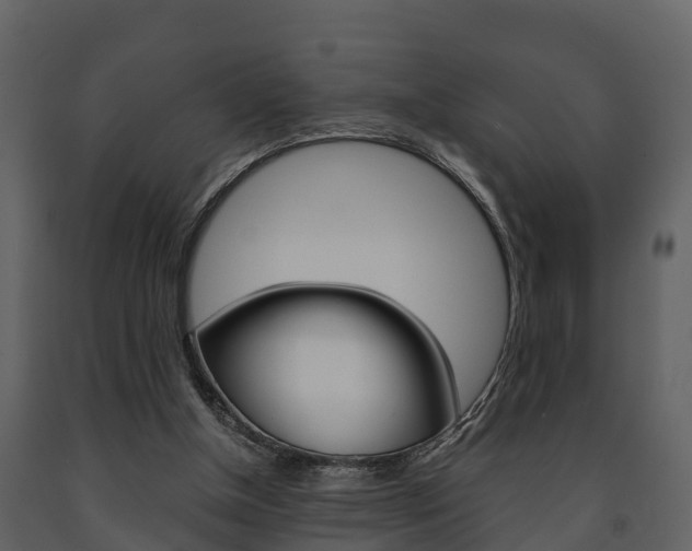 X0000091710154200708241004